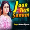 About Jaan Tum Sanam Song